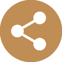 Copy Link